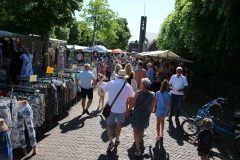 IMG_3487