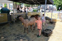 IMG_3539