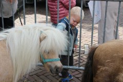 IMG_4166