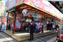 IMG_4186