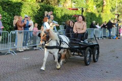 IMG_4126